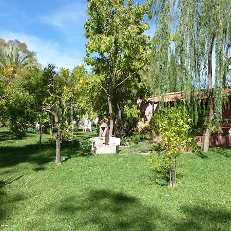 Eco Moyano Posada Gaucín Εξωτερικό φωτογραφία