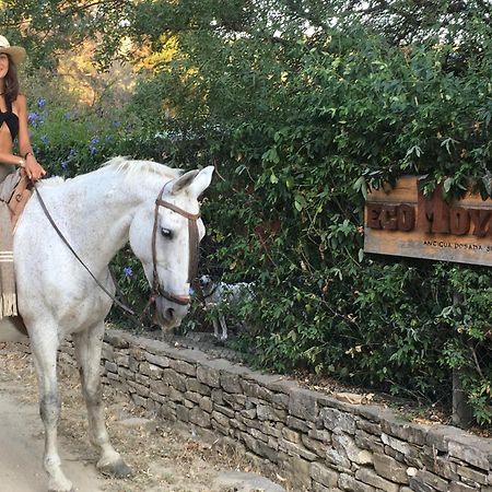 Eco Moyano Posada Gaucín Εξωτερικό φωτογραφία