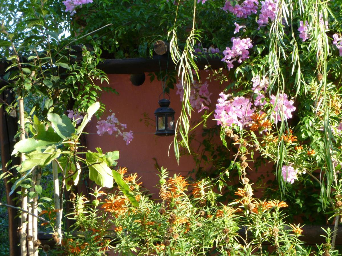 Eco Moyano Posada Gaucín Εξωτερικό φωτογραφία