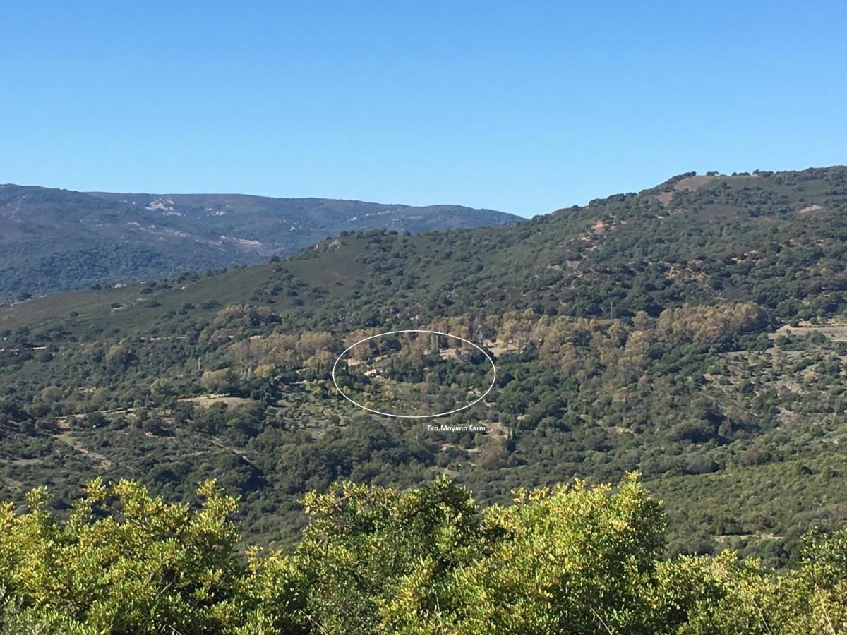 Eco Moyano Posada Gaucín Εξωτερικό φωτογραφία
