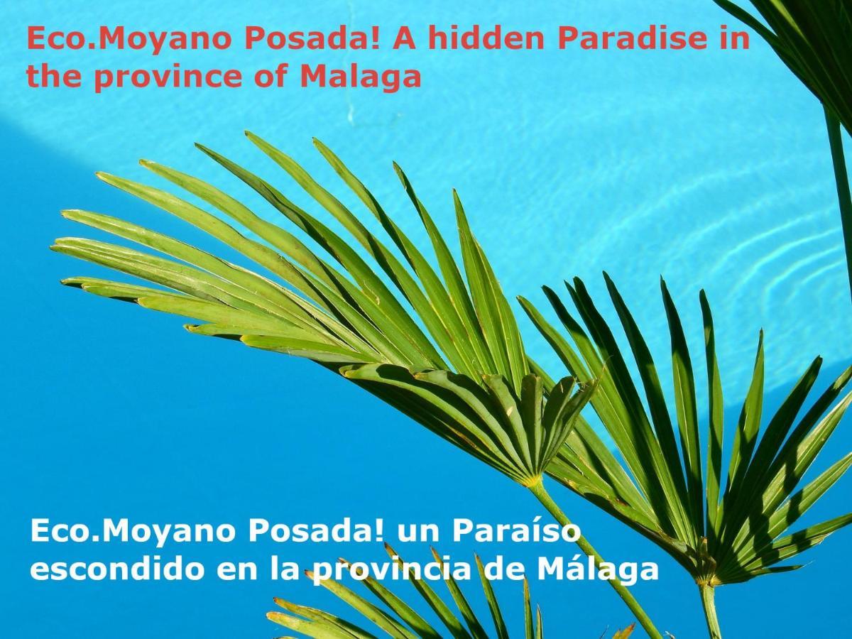 Eco Moyano Posada Gaucín Εξωτερικό φωτογραφία
