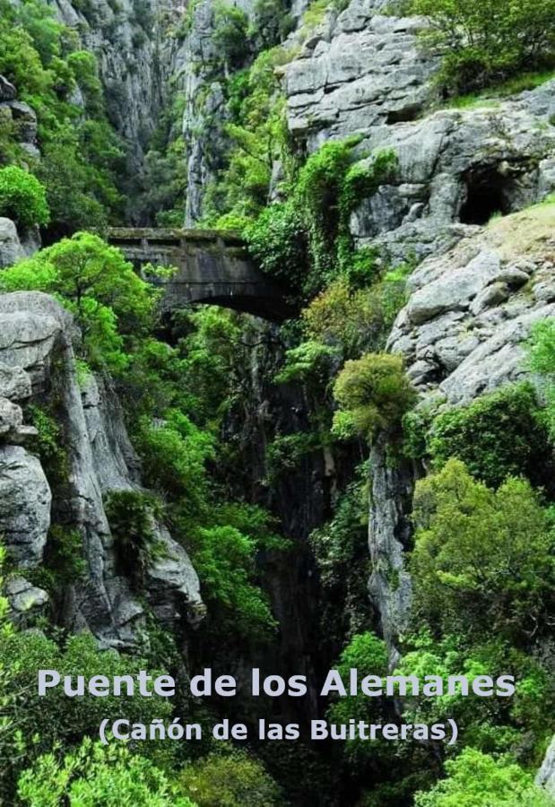 Eco Moyano Posada Gaucín Εξωτερικό φωτογραφία