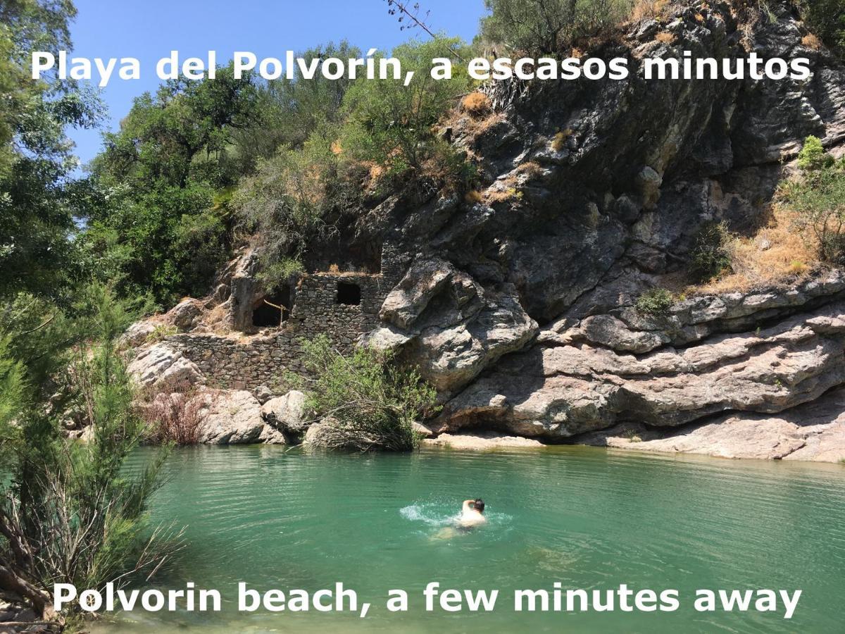 Eco Moyano Posada Gaucín Εξωτερικό φωτογραφία