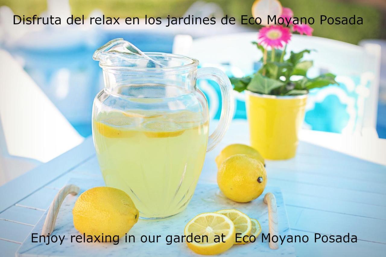 Eco Moyano Posada Gaucín Εξωτερικό φωτογραφία