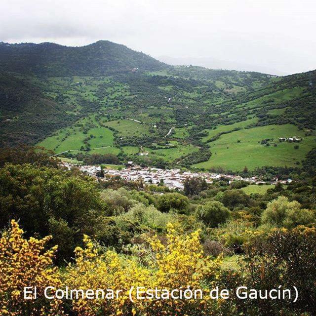 Eco Moyano Posada Gaucín Εξωτερικό φωτογραφία