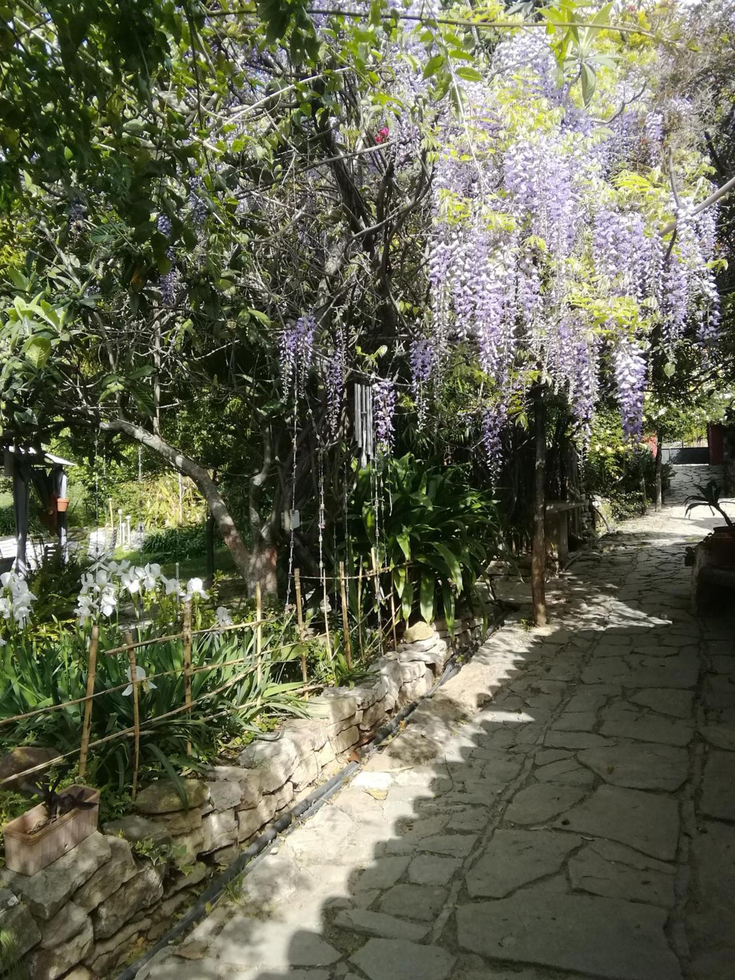 Eco Moyano Posada Gaucín Εξωτερικό φωτογραφία