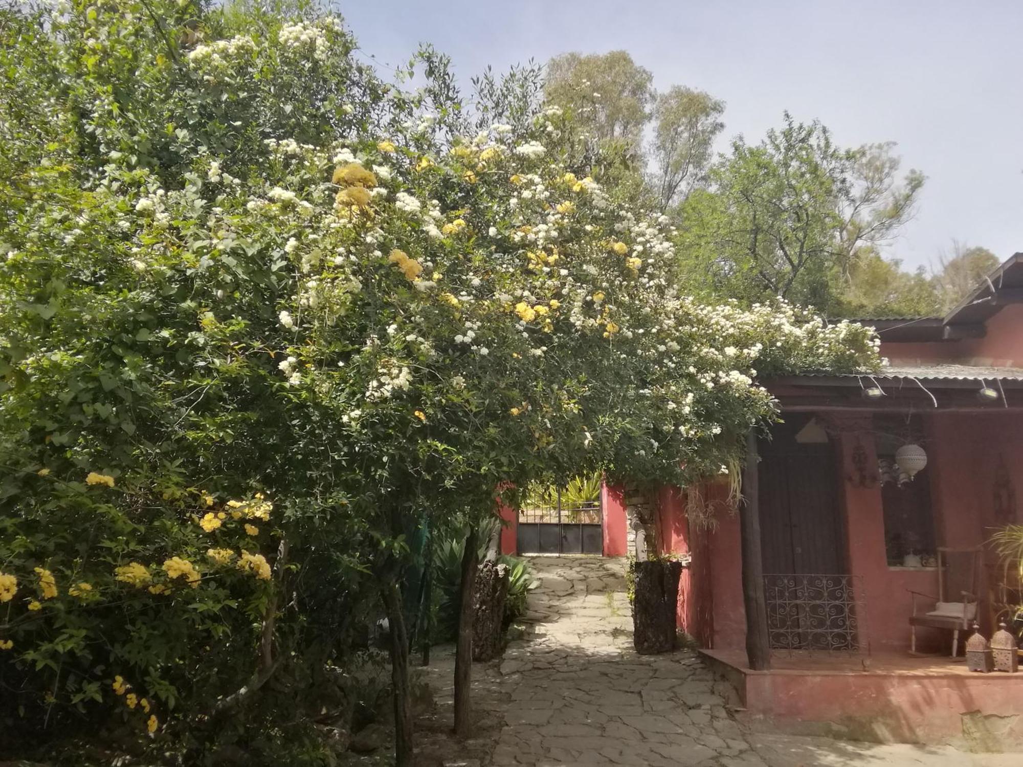 Eco Moyano Posada Gaucín Εξωτερικό φωτογραφία