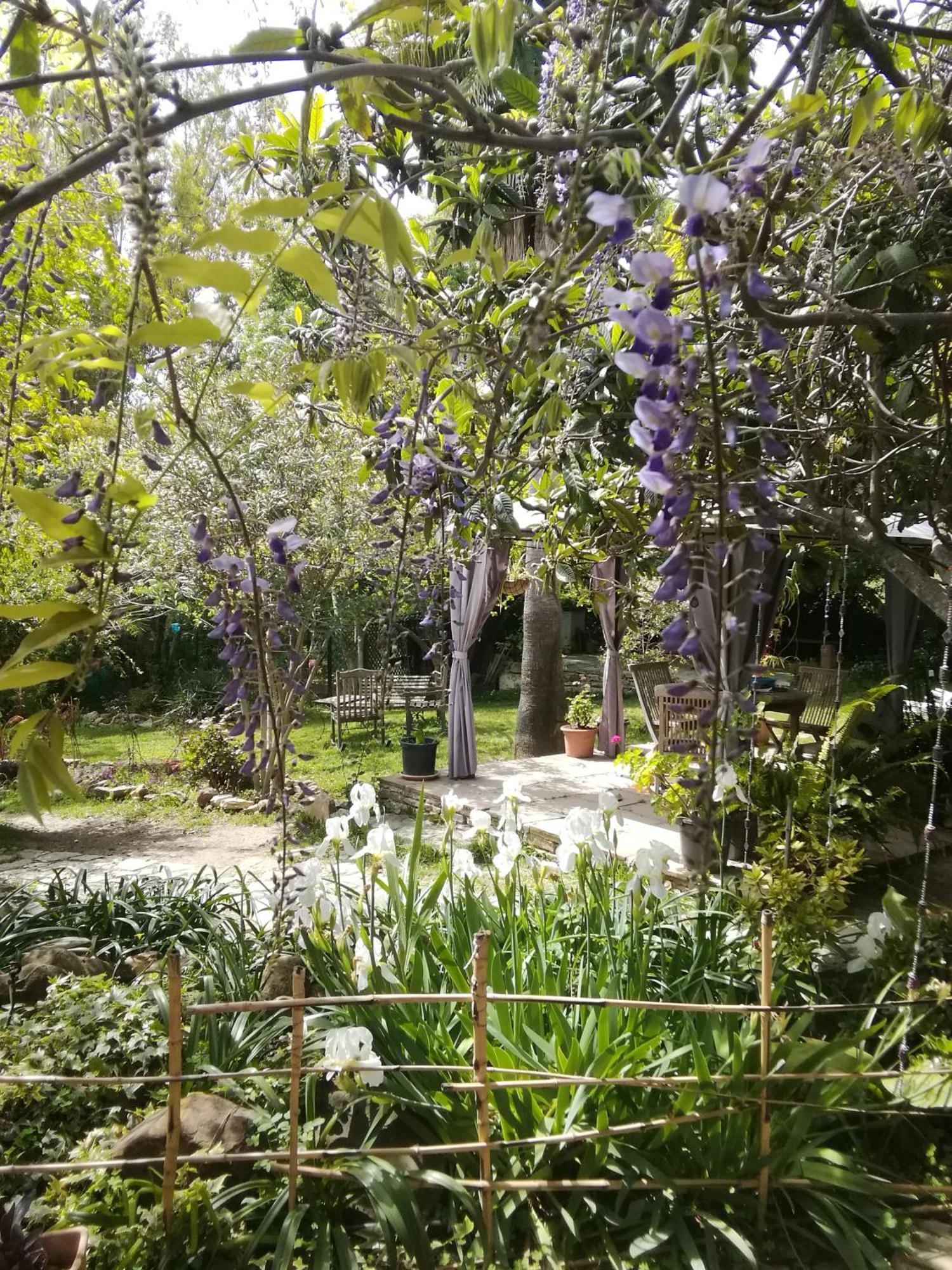 Eco Moyano Posada Gaucín Εξωτερικό φωτογραφία