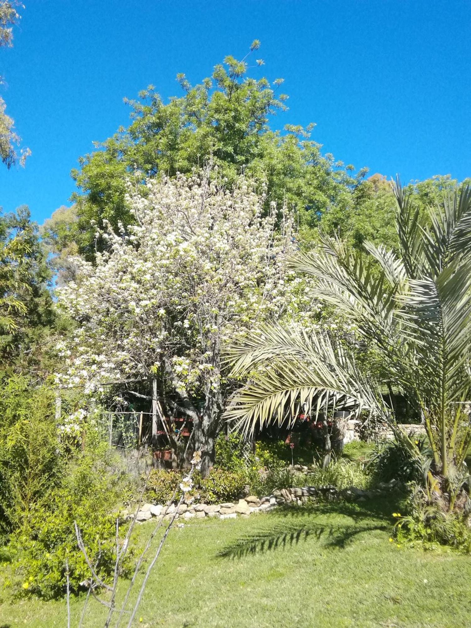 Eco Moyano Posada Gaucín Εξωτερικό φωτογραφία