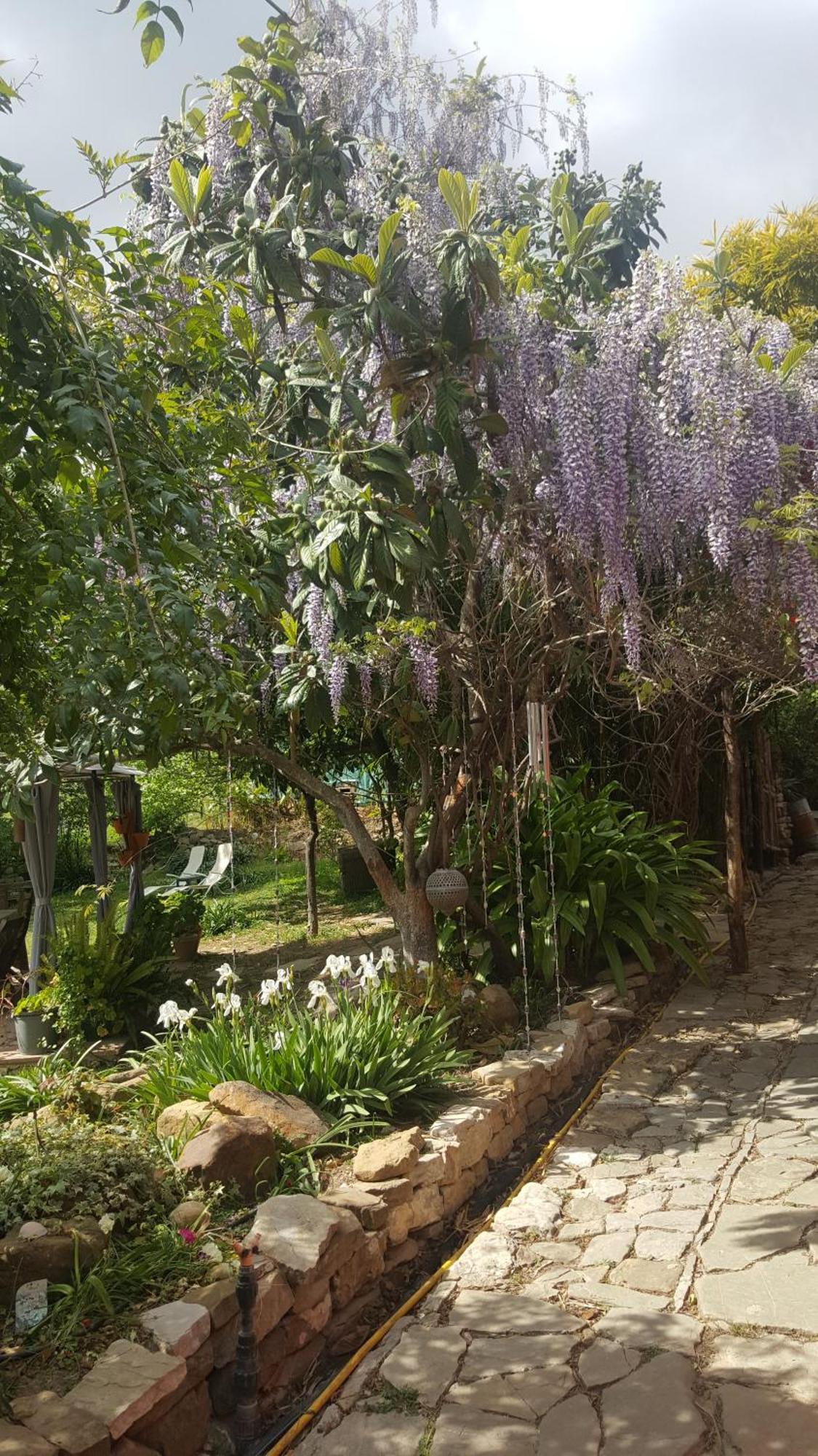 Eco Moyano Posada Gaucín Εξωτερικό φωτογραφία